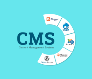 content management system training in nucleus academy